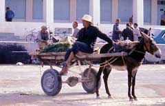 Tunisie 1977